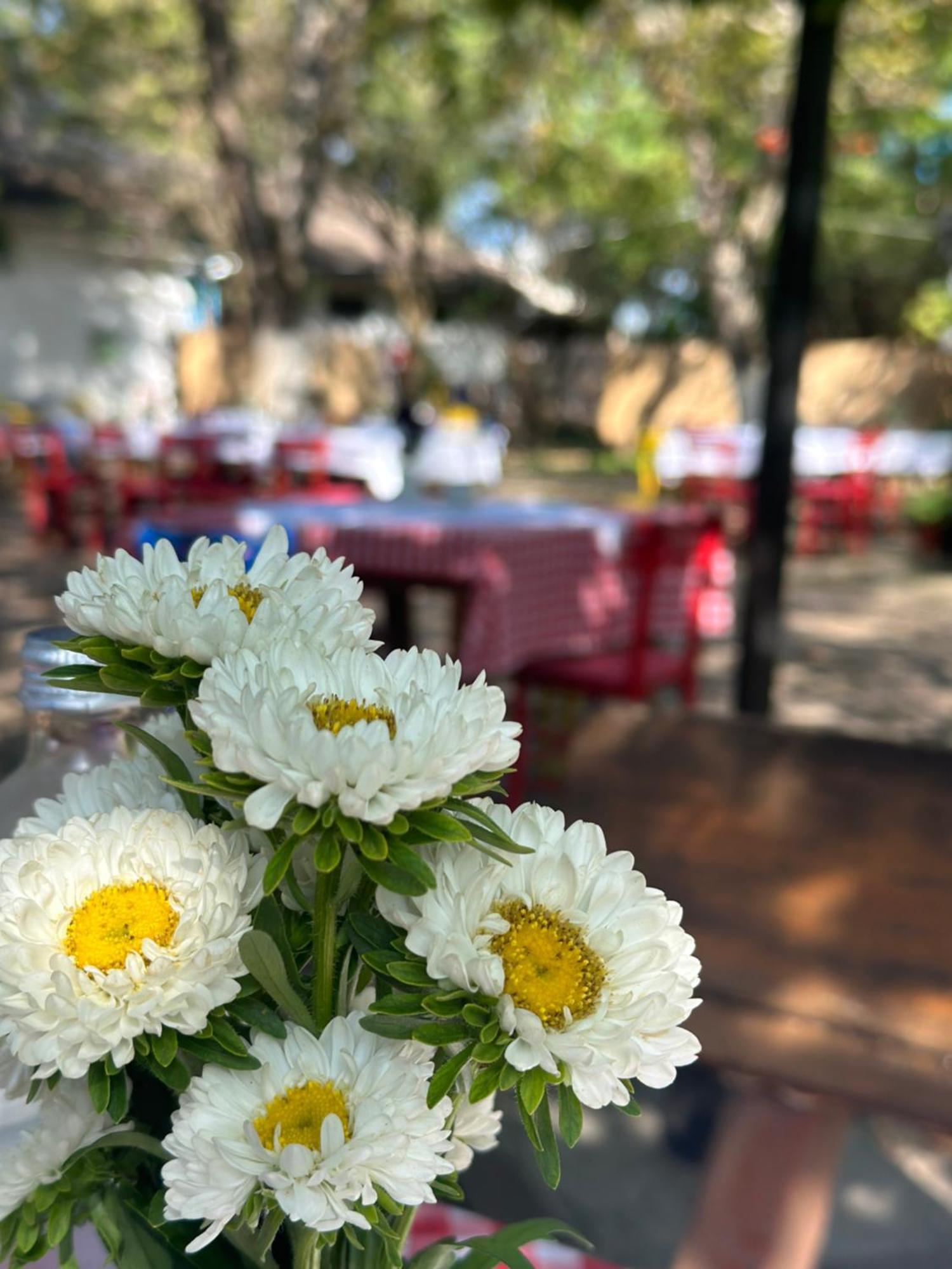 Vila Gorska Žabljak Εξωτερικό φωτογραφία
